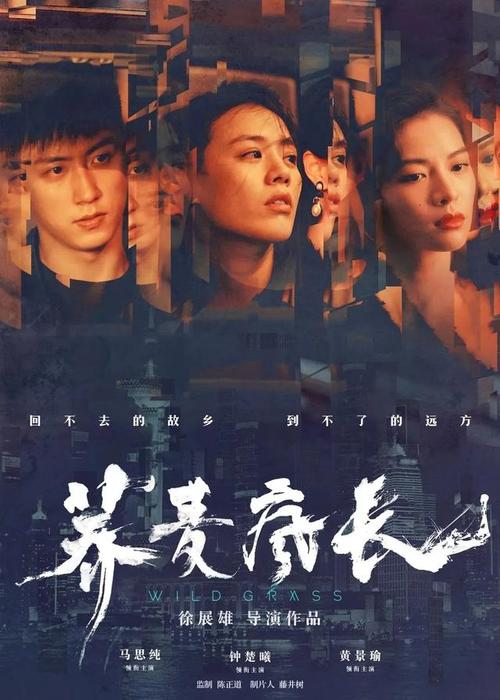 制作台湾护照电子版